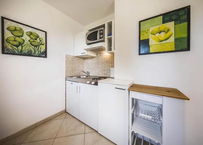 빌라 Dvori Viskovi